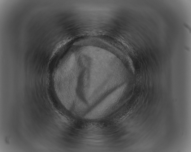 X0000091560736200709071126