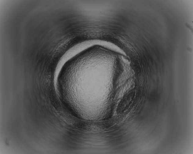 X0000091560737200709071126