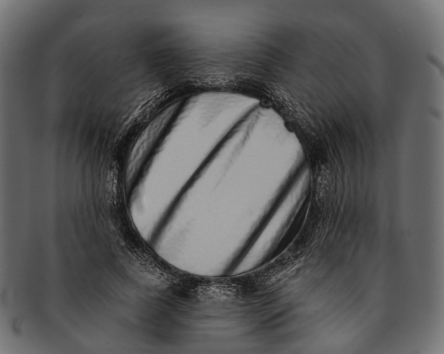 X0000091560739200709071126