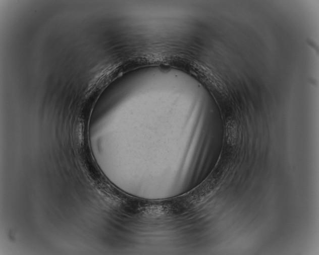 X0000091560740200709071126