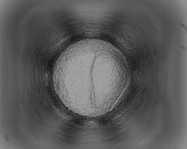 X0000091560741200709071126