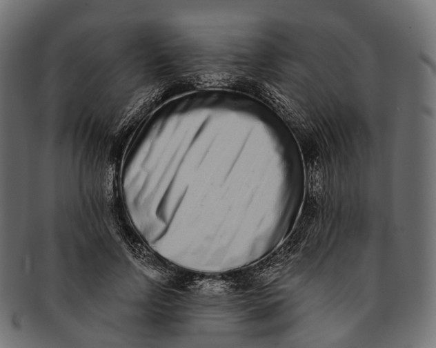 X0000091560742200709071126