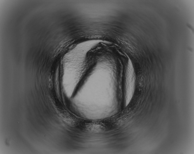 X0000091560743200709071126