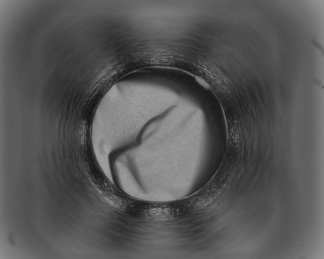 X0000091560744200709071126