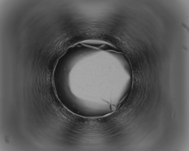 X0000091560745200709071126