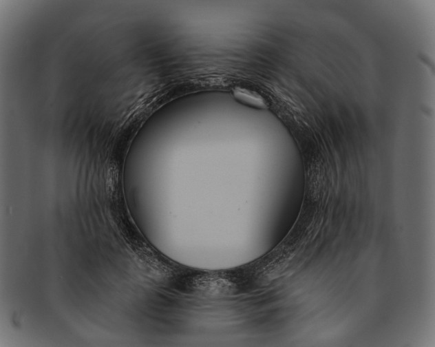 X0000091560747200709071126