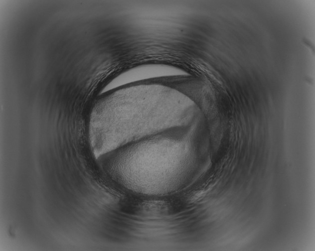 X0000091560748200709071126