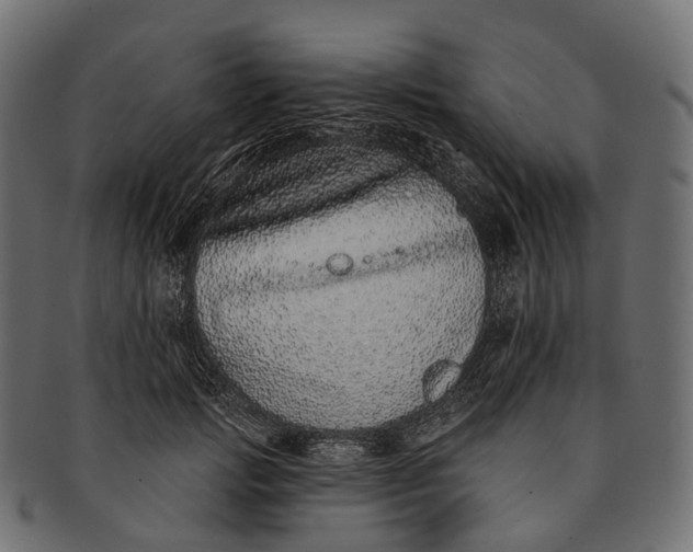 X0000091560749200709071126