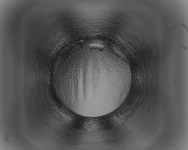 X0000091560750200709071126