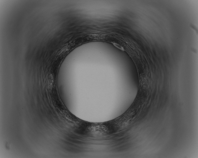 X0000091560752200709071126