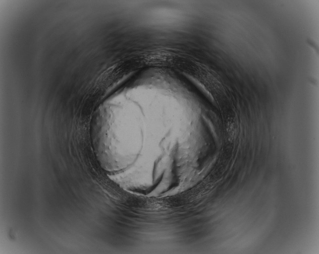 X0000091560753200709071126