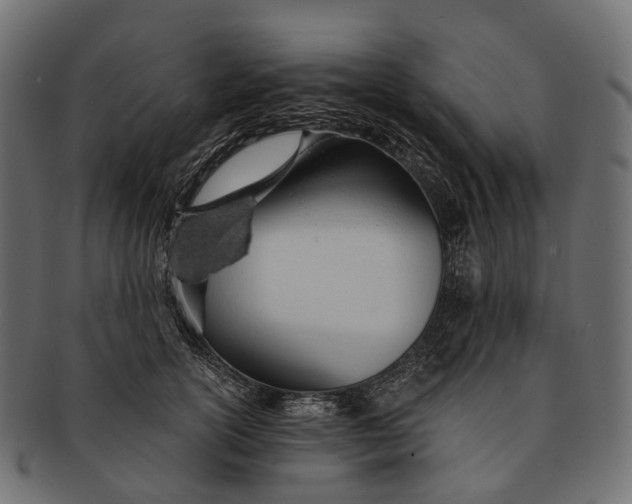 X0000091560754200709071126