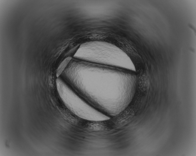 X0000091560755200709071126