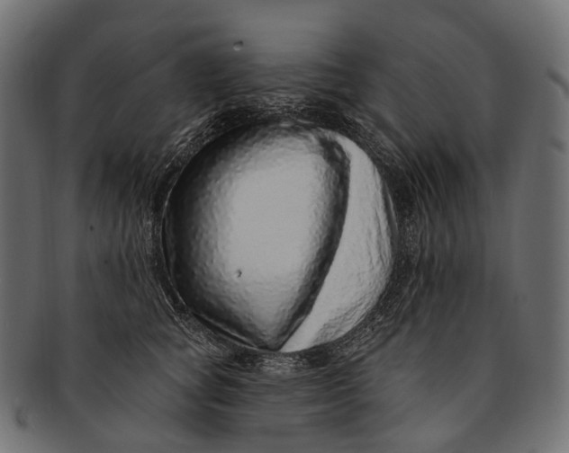 X0000091560757200709071126