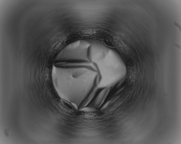 X0000091560758200709071126