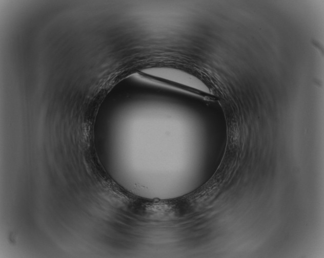 X0000091560759200709071126