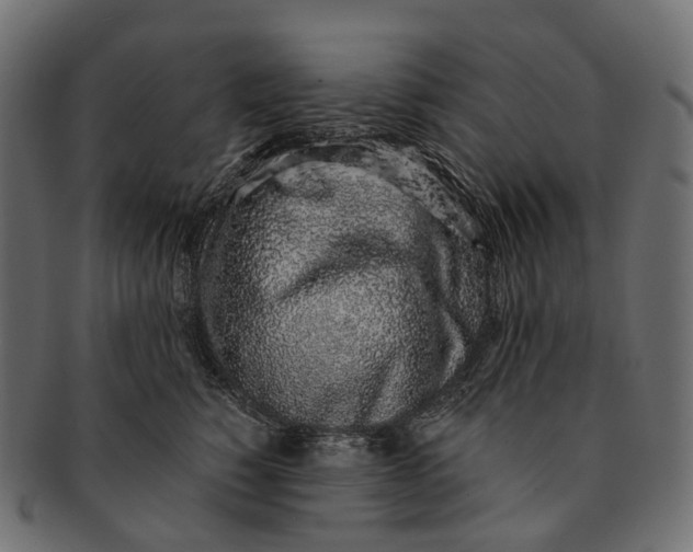 X0000091560760200709071126