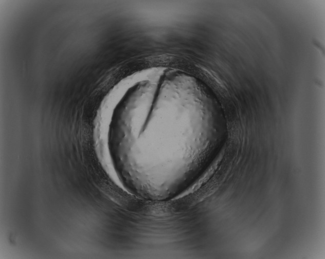 X0000091560761200709071126