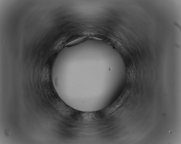 X0000091560762200709071126