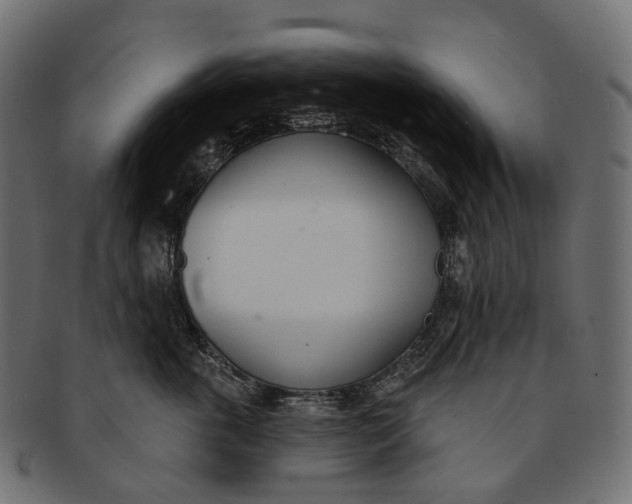 X0000091560763200709071126