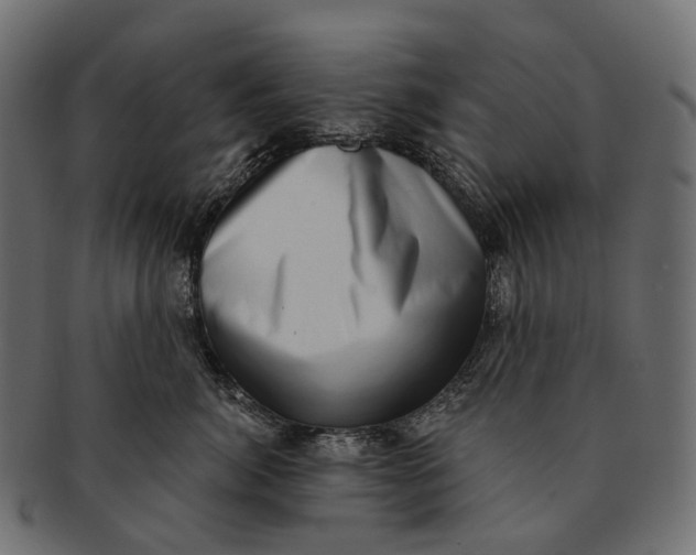 X0000091560764200709071127