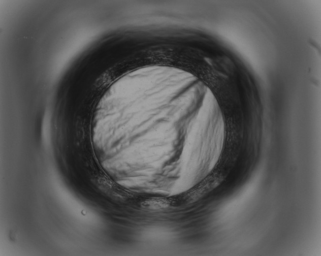 X0000091560765200709071127