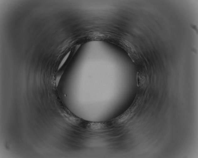 X0000091560766200709071127