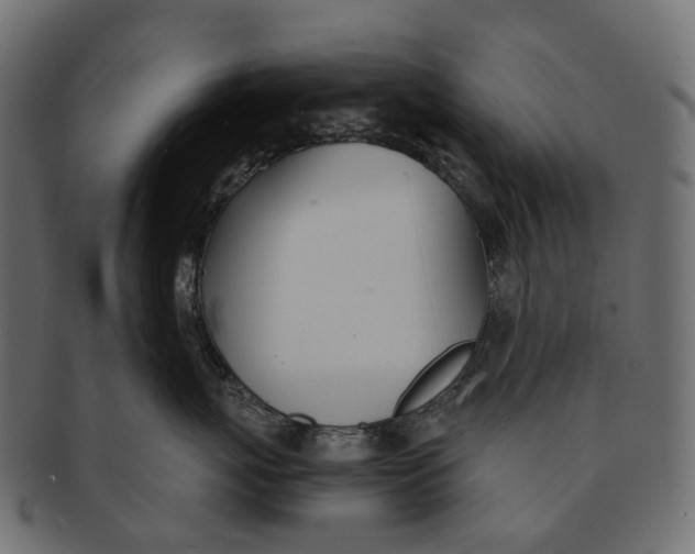 X0000091560767200709071127