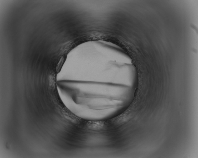 X0000091560768200709071127