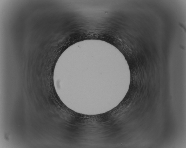 X0000091560769200709071126