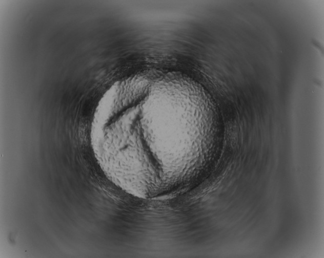 X0000091560770200709071126