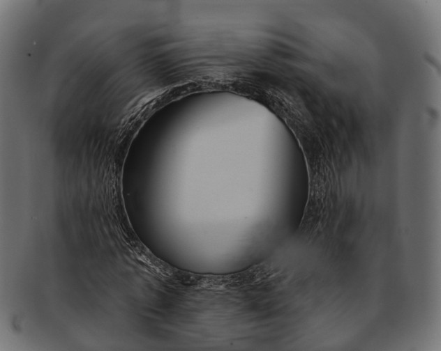 X0000091560773200709071126