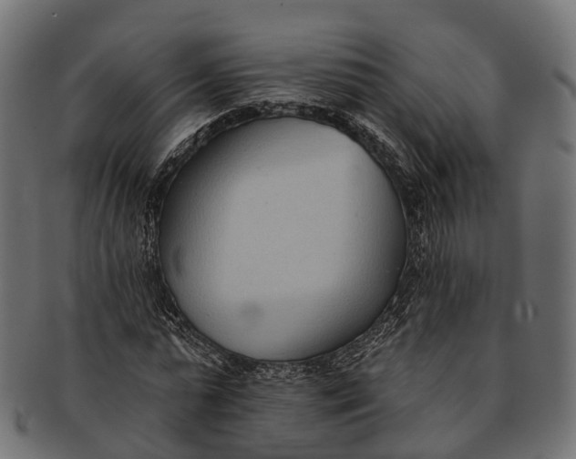 X0000091560775200709071126