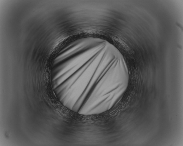 X0000091560776200709071126