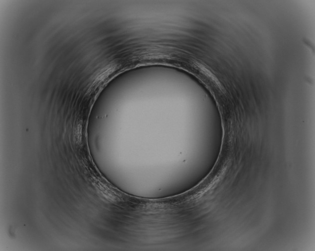 X0000091560777200709071126