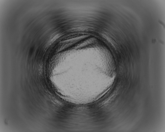 X0000091560778200709071126