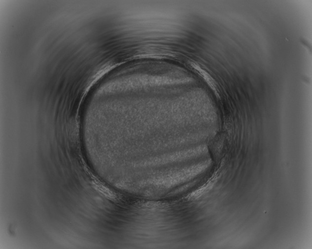 X0000091560779200709071126