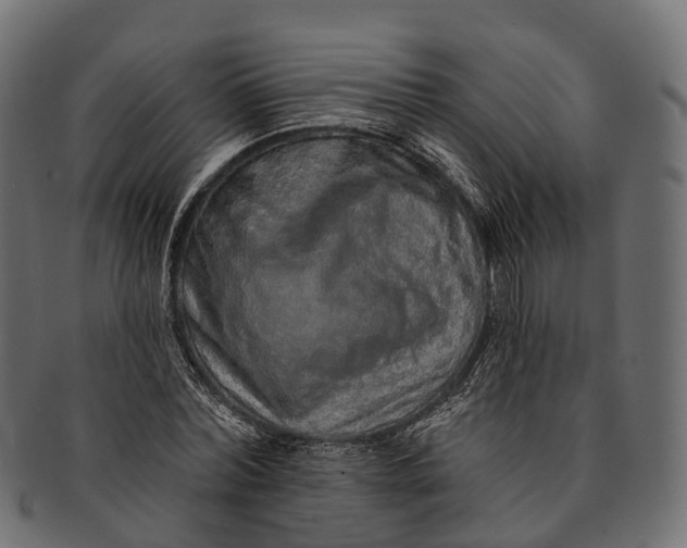 X0000091560780200709071126