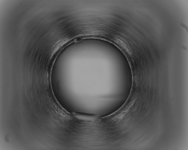 X0000091560781200709071126