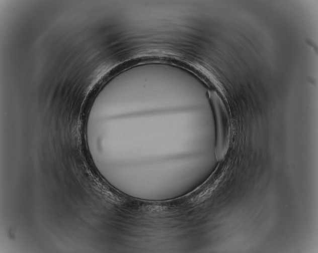 X0000091560783200709071126