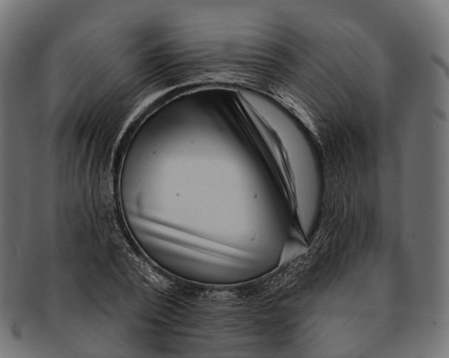 X0000091560784200709071126