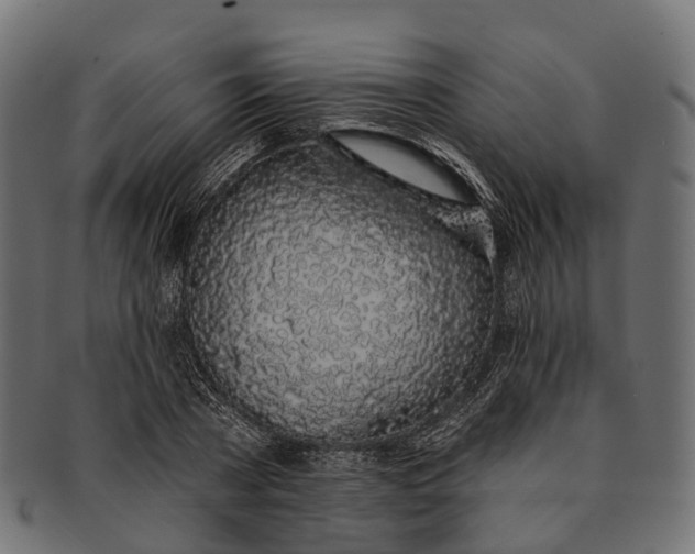 X0000091560785200709071126