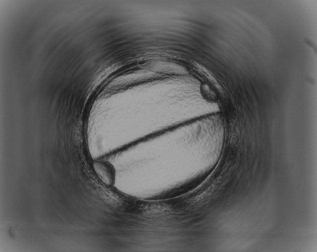 X0000091560786200709071126