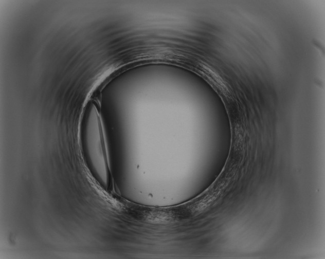 X0000091560788200709071126