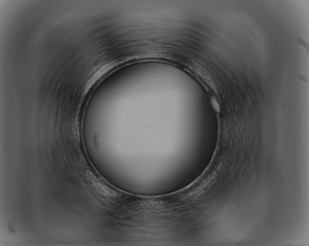 X0000091560789200709071126