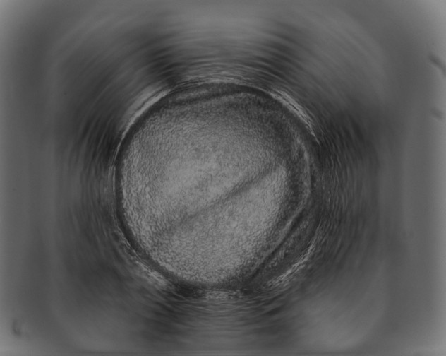 X0000091560790200709071126