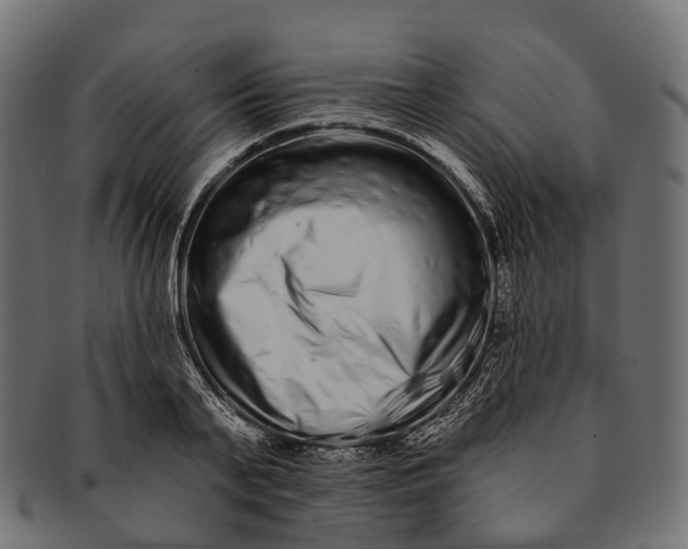 X0000091560791200709071126