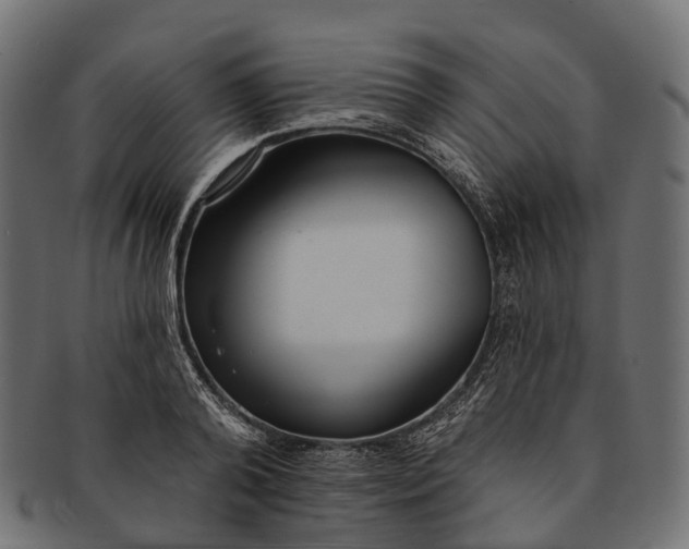 X0000091560792200709071126