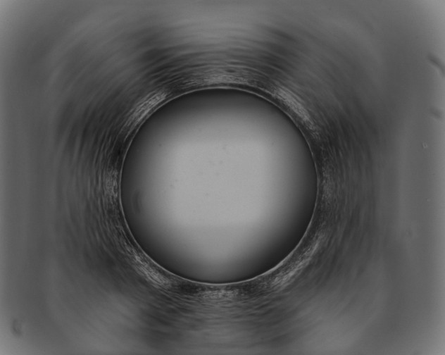 X0000091560793200709071126