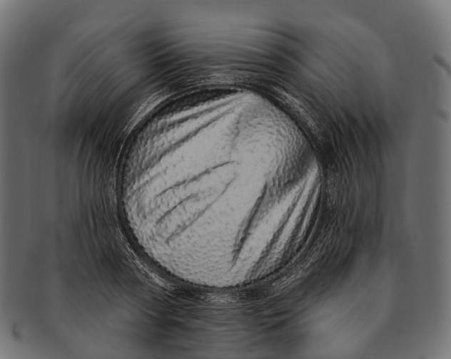 X0000091560794200709071126